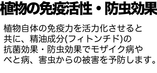 植物の免疫活性・防虫効果